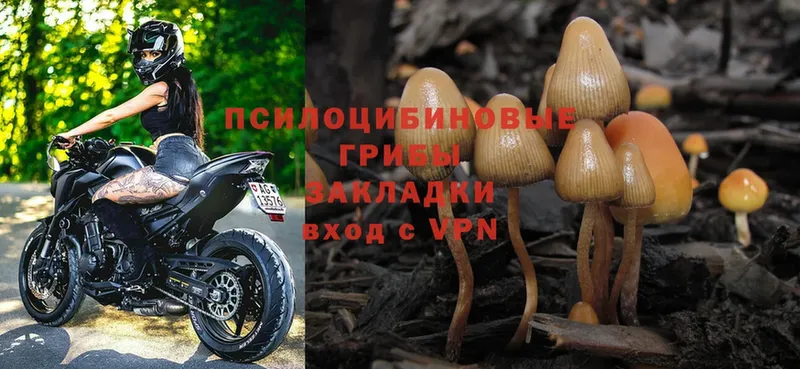 как найти закладки  кракен ссылки  Галлюциногенные грибы MAGIC MUSHROOMS  Валуйки 